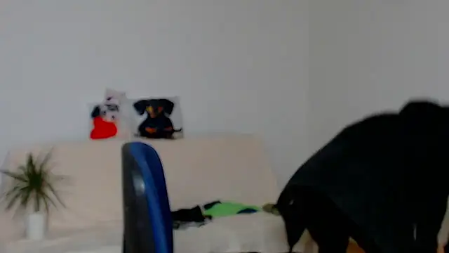 ZeinMiracles's cam snapshot