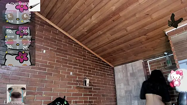 meow_mota's cam snapshot