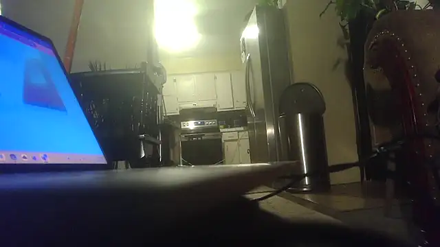 hungspundick1's cam snapshot