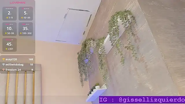 Liincostelloo's cam snapshot