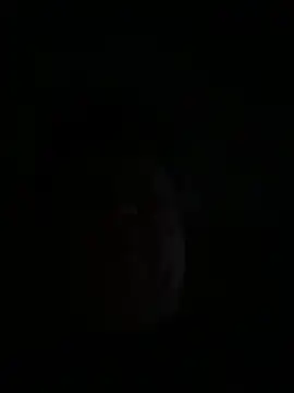 NE_1_4_69_ live sex cam