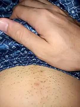 Peterson_'s cam snapshot