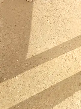 INTERNATIONAL0001's cam snapshot