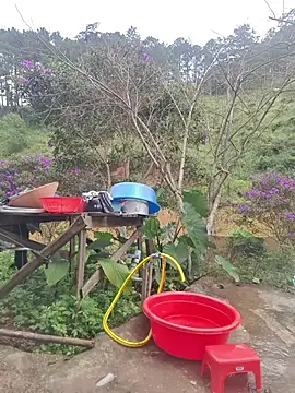 Helen-Tran live sex cam