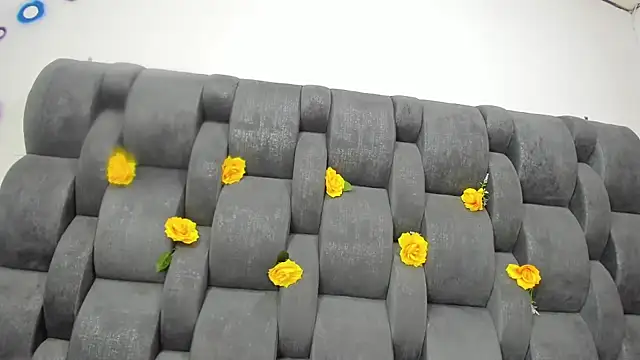 vsalomeper's cam snapshot