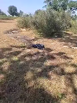 miss-maya24's cam snapshot