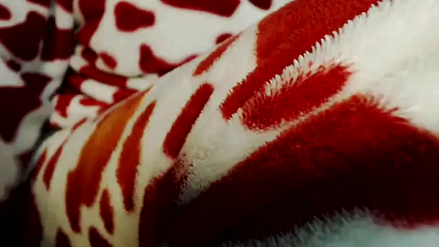 sahtlove1's cam snapshot