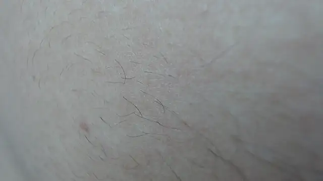 _Araboys_'s cam snapshot