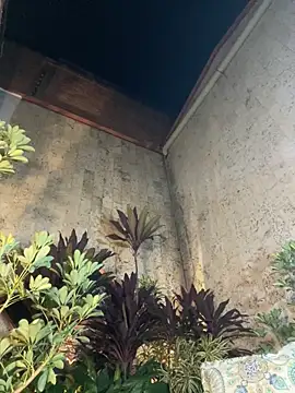 loladupont's cam snapshot