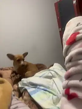 vanesa51 live sex cam