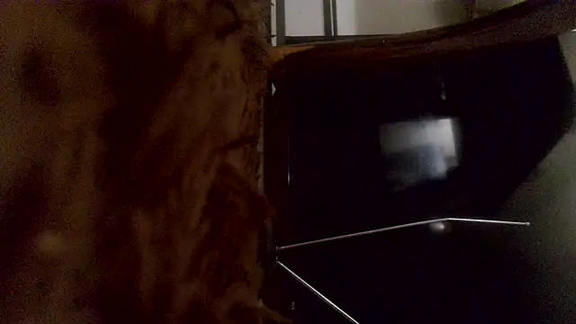 ReallyReallyReal's cam snapshot