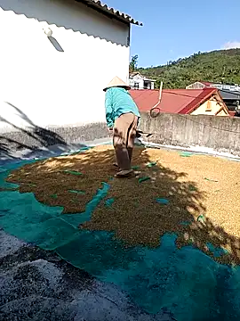 Sales_agent's cam snapshot