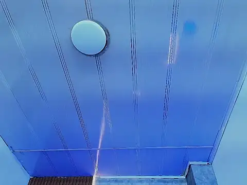 sakuramoss's cam snapshot