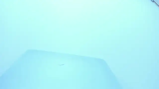 hillary_chen's cam snapshot