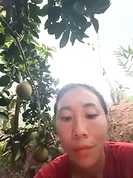 -Chua-90's cam snapshot