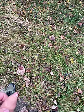 Aronn4's cam snapshot