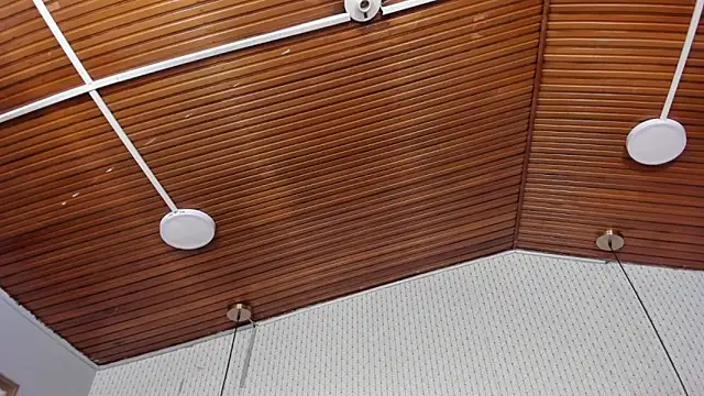 LARISSAEVANS's cam snapshot