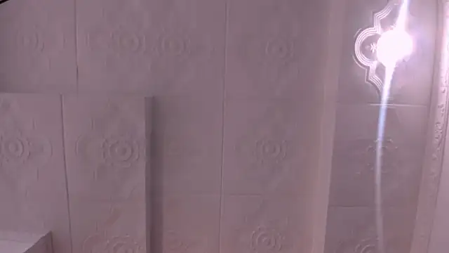 Akira_Hime's cam snapshot