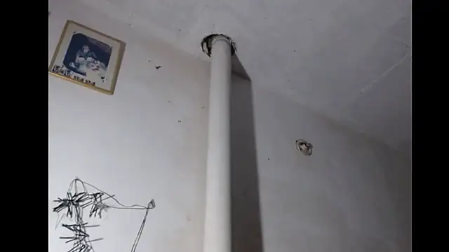 BebaFoxx live sex cam