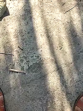 Pitercom live sex cam