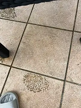 mj23641's cam snapshot