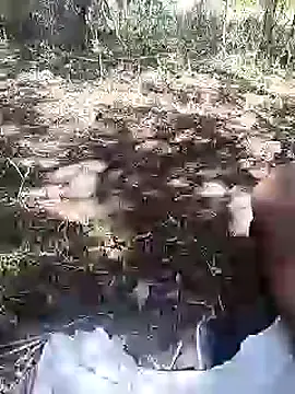 CertifiedSatisfier live sex cam