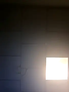 curiouscock38 live sex cam