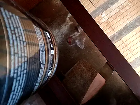 puak6666 live sex cam