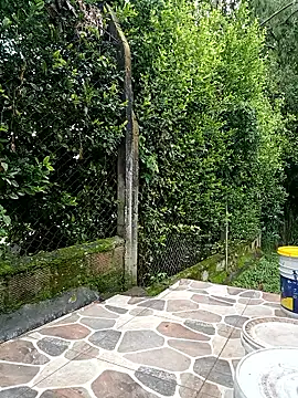 sebasxx97 live sex cam