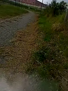 Cuervo_maniaco live sex cam