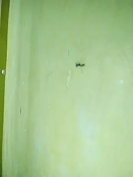 hootmom's cam snapshot