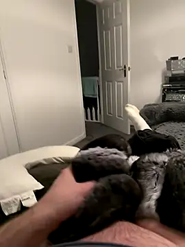 Furdale live sex cam