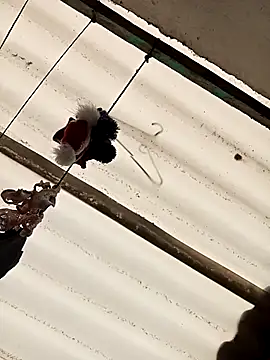 Sophie_petit1's cam snapshot