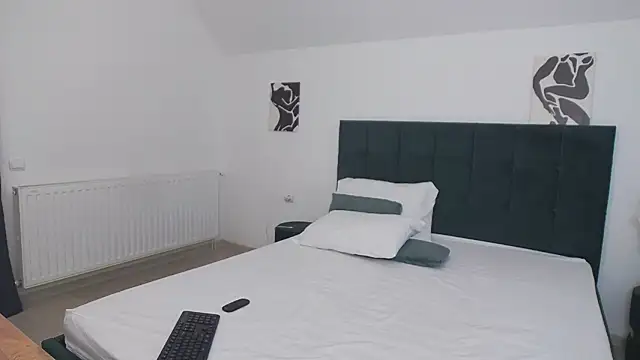 Novavibee's cam snapshot