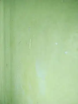 hootmom's cam snapshot