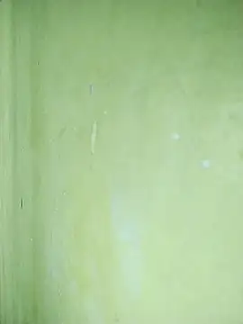 hootmom's cam snapshot