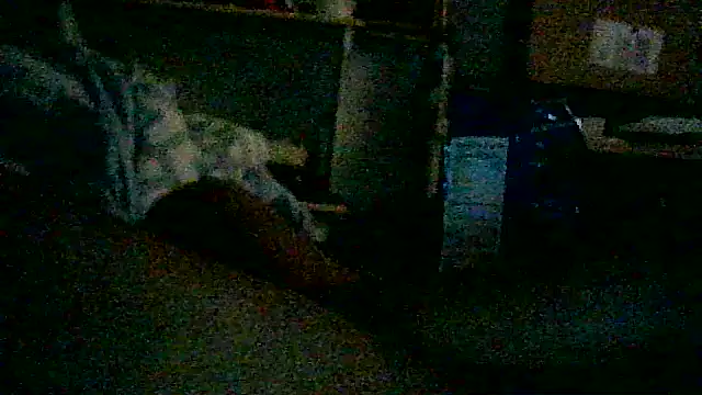 3ROTIC_3XOTiC_FIR3's cam snapshot