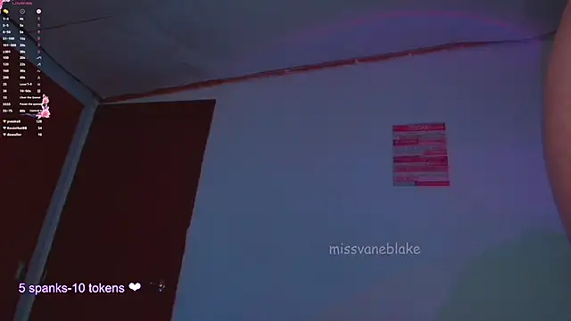 missvaneblake's web cam