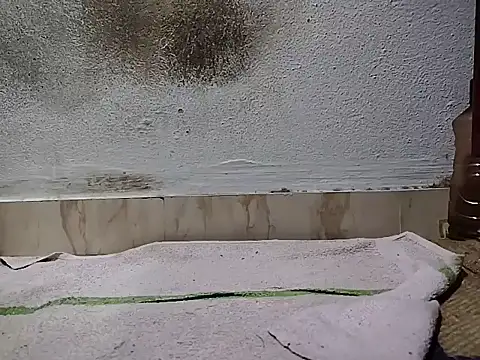 your_male_partner's cam snapshot