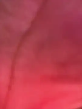 izanmiller2001 live sex cam