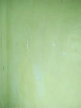 hootmom's cam snapshot