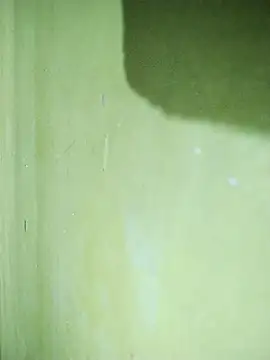 hootmom's cam snapshot