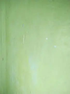 hootmom's cam snapshot