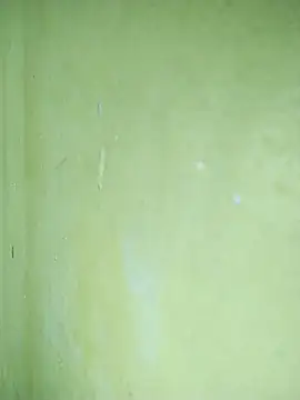 hootmom's cam snapshot