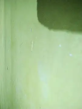 hootmom's cam snapshot