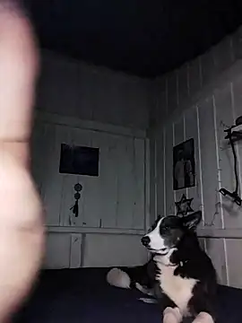 Ocultly's cam snapshot