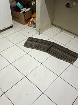 _-_-_putinha's cam snapshot