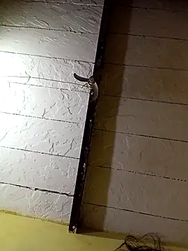 Seema_guptaji's cam snapshot