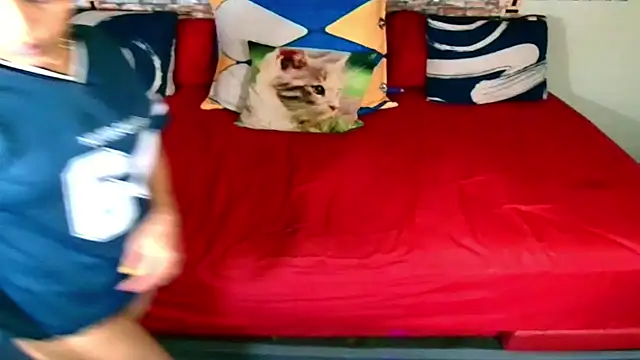 Indian_Blaze00's cam snapshot