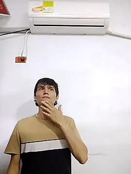 PrivCamZone's web cam